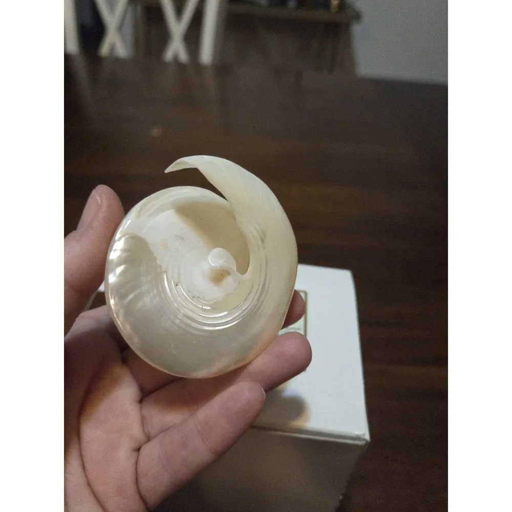 Seashell Christmas Tree Ornament, spiral-cut pearl Trochus shell